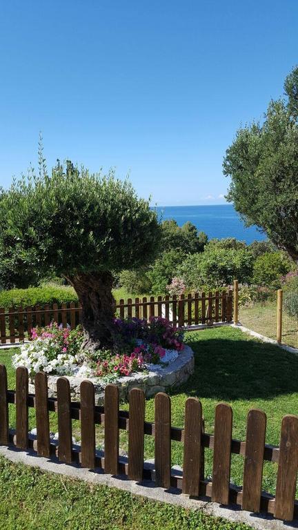 Bed&Breakfast Nefer Maratea Exterior foto